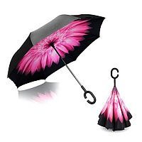    Umbrella   