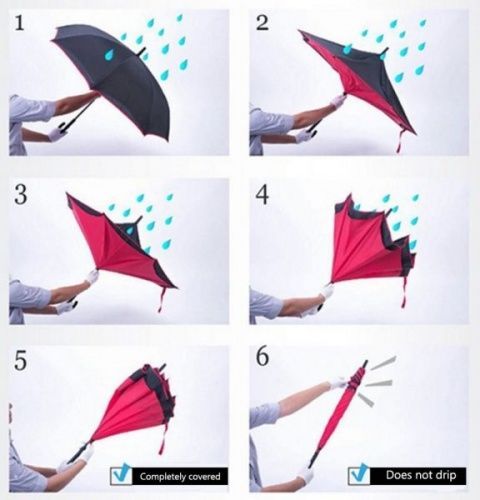    Umbrella     6
