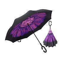    Umbrella   