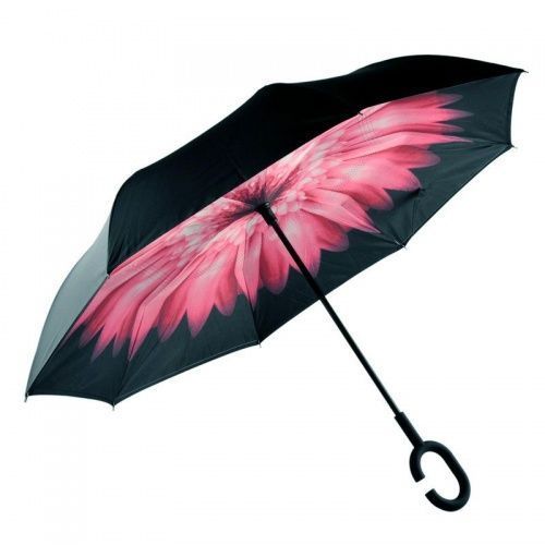    Umbrella     2