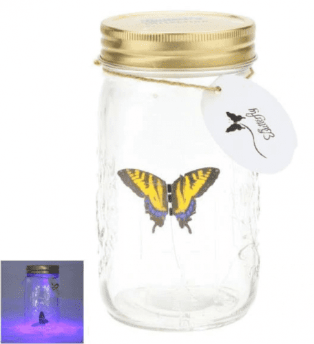 Электронная бабочка в банке жёлтая картинки фото 2