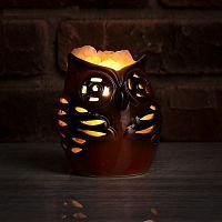 Соляной светильник "Сова" керамика фото