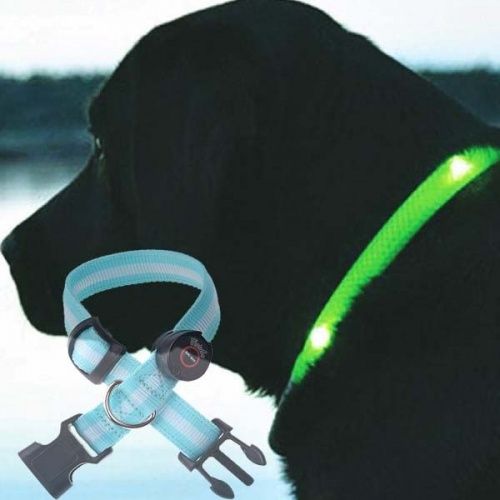 Ошейник светодиодный Led Dog Colllar картинки