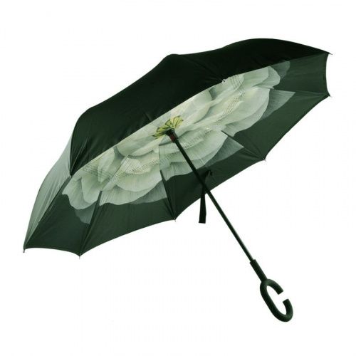    Umbrella     3