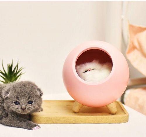 Ночник «Спящий котенок в лампе» розовый картинки фото 8